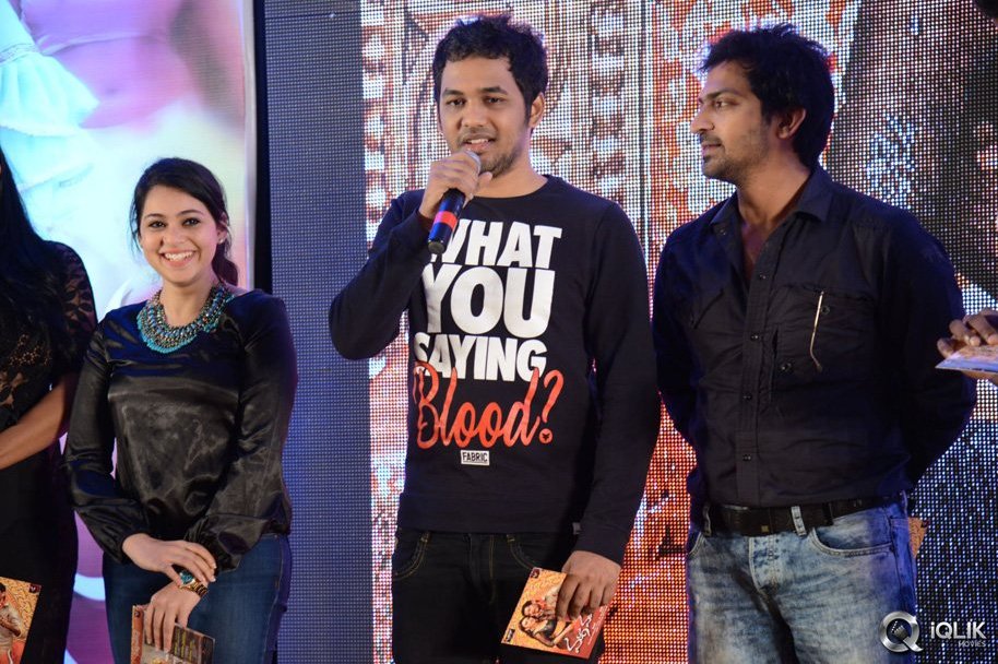 Maga-Maharaju-Movie-Audio-Launch